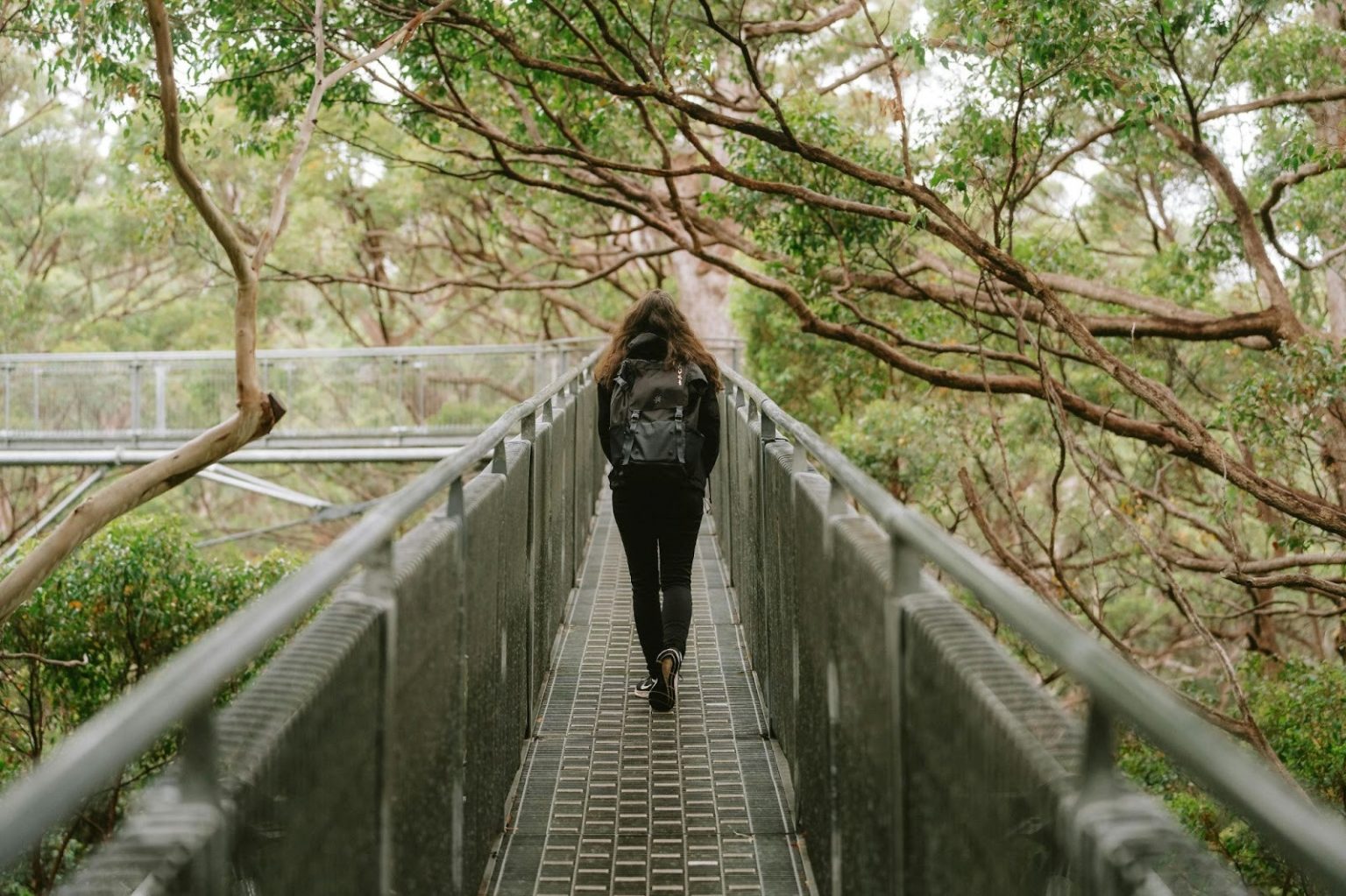 10 Ways to Avoid Distractions While Studying - Edu plus now Blog