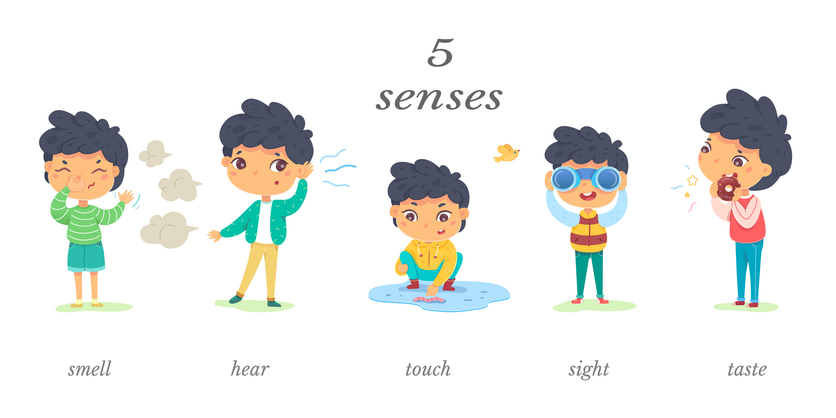 Five Senses Exercise